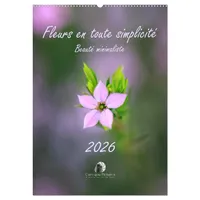 Calvendo Fleurs en toute simplicité - Beauté minimaliste (Calendrier