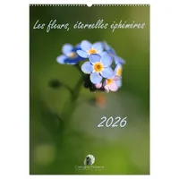 Calvendo Les fleurs, éternelles éphemères (Calendrier mural 2026 DIN