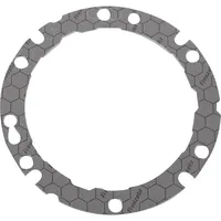 Viessmann Gebläsedichtung,