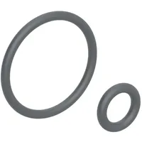 Geberit O-Ring für Duscharm 242176001 zu Geberit AquaClean 4000