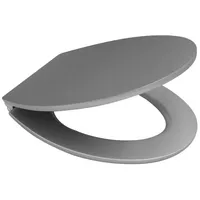 RIDDER WC-Sitz mit Soft-Close Silvery Silber