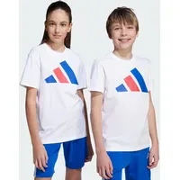 Adidas Essentials T-shirt white/team royal blue/pure ruby 164