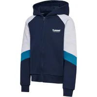 Hummel hmlJR Looose Blocked Kapuzenjacke Kinder 7459 | dress