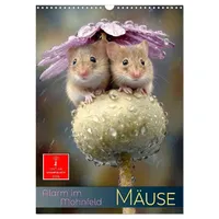 Calvendo Mäuse - Alarm im Mohnfeld (Wandkalender 2026 DIN