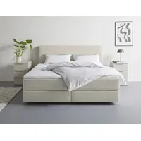 LeGer Home by Lena Gercke Zalia 165 x 217