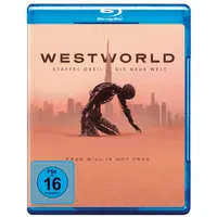 Warner bros. (plaion pictures) Westworld - Staffel 3 (Blu-ray)
