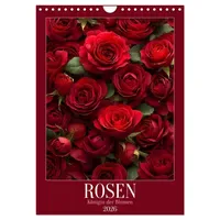 Calvendo Rosen - Königin der Blumen (Wandkalender 2026 DIN