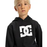 DC Shoes Hoodie DC SHOES "DC Star", Jungen, Gr.