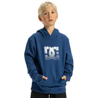 DC Shoes Hoodie DC SHOES "DC Star Reflective", Jungen,