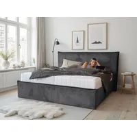 Collection AB Polsterbett COLLECTION AB "Marla erhältlich in der