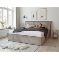 Collection AB Polsterbett »Marla erhältlich in der Breite 180x200cm,