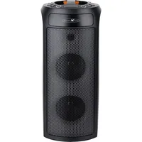 Reflexion Party Lautsprecher schwarz