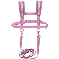 Coppenrath Verlag Coppenrath 22059 - Die Spiegelburg - Pferdefreunde