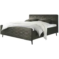 MeinBett Polsterbettgestell Mariano A ¦ braun ¦ Maße (cm):