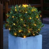 Lumineo Buchsbaumnetz LED 84 LED Ø 50 cm Warmweiß