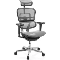 HJH Office Ergohuman Ultra Gen2 Netz Grau