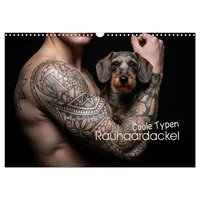 Calvendo Coole Typen - Rauhaardackel (Wandkalender 2026 DIN A3