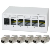 Logilink Patchpanel NK4091 6Port inkl. 6 CAT6A Modulen