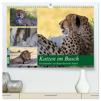 Calvendo Katzen im Busch (hochwertiger Premium Wandkalender 2026 DIN