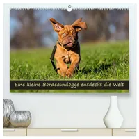 Calvendo Eine kleine Bordeauxdogge entdeckt die Welt (hochwertiger Premium