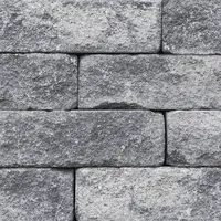 Ehl Mauerstein Anzio Antik 50 x 15 cm grau