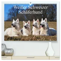 Calvendo Weißer Schweizer Schäferhund (hochwertiger Premium Wandkalender 2026 DIN