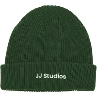 JACK & JONES JACSOHO BEANIE SN grün