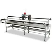 Bernina Q 20 mit Frame Large Pro