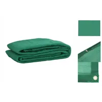 VidaXL Anhängernetz Grün 2,5 x 3,5 m HDPE
