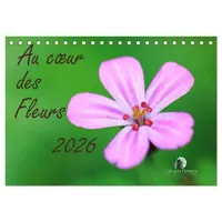 Calvendo Au cœur des fleurs (Calendrier de bureau 2026