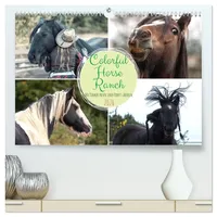 Calvendo Colorful Horse Ranch - Wo Tinker posen und