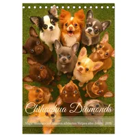 Calvendo Chihuahua Diamonds – Magic Moments mit unseren schönsten
