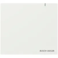 Busch-Jaeger System Access Point SAP.13