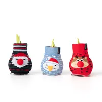 Plant in a Box - Amaryllis - 3er-Set -