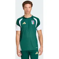 Adidas Italien 26 Tiro Trainingstrikot grün XL