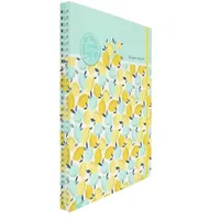 Verlag an der Ruhr GmbH Mein Lehrerplaner A4+ -