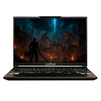 Captiva Notebook Highend Gaming I95-052GE 16'' Core i7-14650HX 32