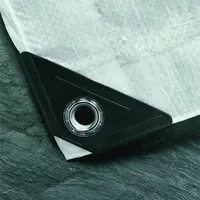 Noor Gewebeplane 2 x 3 m Weiß