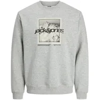 JACK & JONES JCOFLARE grau / hellgrau / schwarz