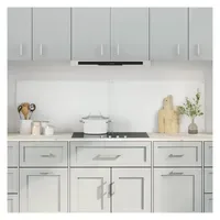 VidaXL Küchenrückwand 2 pcs Transparent 90 x 50 cm