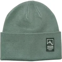 JACK & JONES JACALPES BEANIE SKI AW25 grün