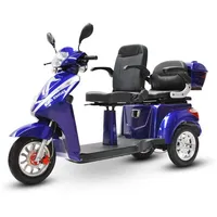 Efun ECO ENGEL 503 Dreirad Roller Senioremobil 25 km/h