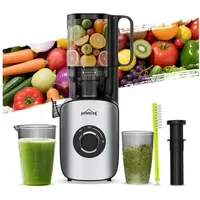 Homelux Slow Juicer silber