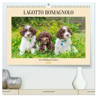 Calvendo Lagotto Romagnolo - der Trüffelhund Italiens (hochwertiger Premium