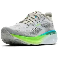 Brooks Adrenaline GTS 25 Herren Oyster/Green Gecko/Blue 46