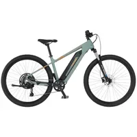 Fischer Montis 2.2 Active 29 Zoll RH 43 piniengrün