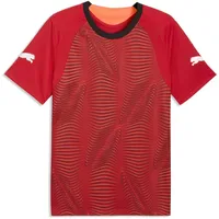 Puma Fußballtrikot 2021 Herren Mehrfarbig Gr. XL