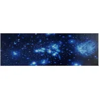 MCW Tiger Leinwand 120x40 cm