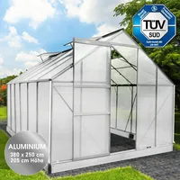 Brast Gewächshaus Aluminium Silber ESG 6 mm 9,5 m2