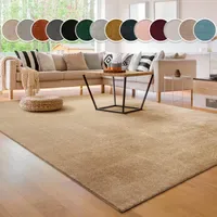 Paco Home Cadiz 630 Kurzflorteppich 300 x 400 cm